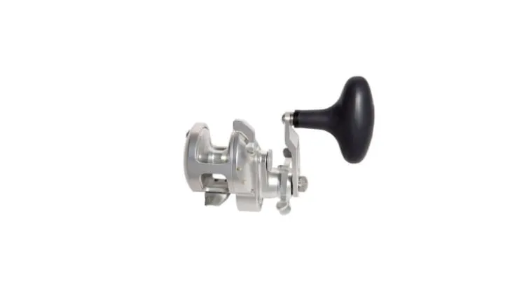 Accurate Tern 2 Star Drag Conventional Reels