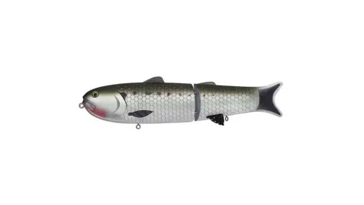 Baitsanity Antidote TUG