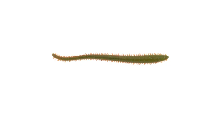 Berkley Gulp Sandworm
