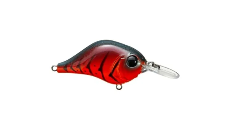 Bill Lewis MR-6 Crankbait