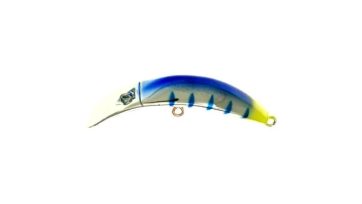 Brad's KillerFish