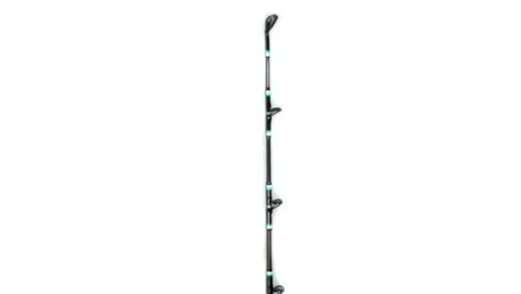 Calstar Grafighter Live Bait Rod
