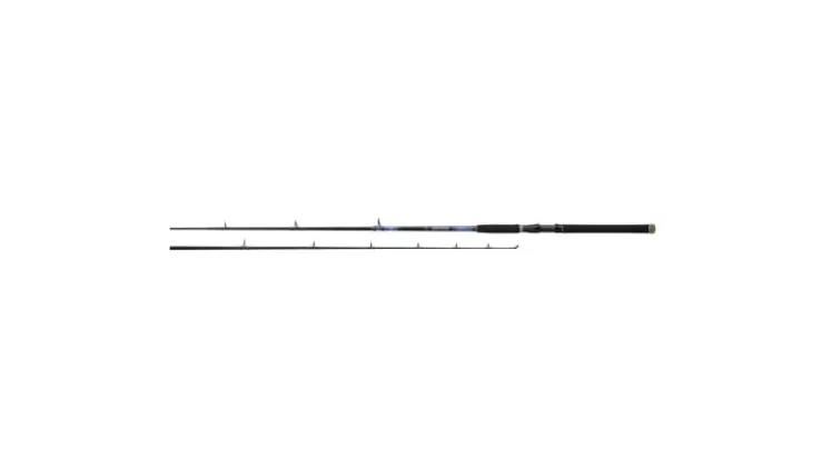 Daiwa Beefstick Conventional Rods