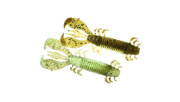 Deps MS Craw