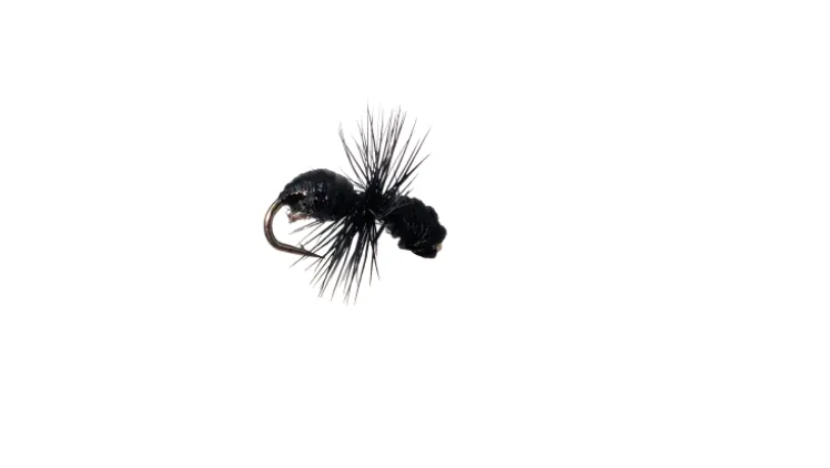 Dry Creek Fly Dry Fly