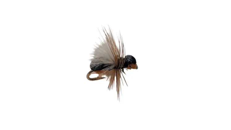 Dry Creek Fly Dry Fly