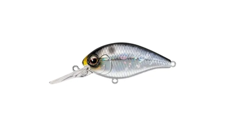 Evergreen CR-8 Crankbaits