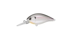 Evergreen CR-8 Crankbaits
