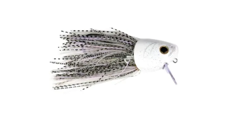 G-Ratt Fighting Fish