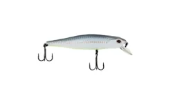 G-Ratt Jerkbait