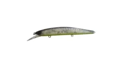Ima Flit Jerkbait