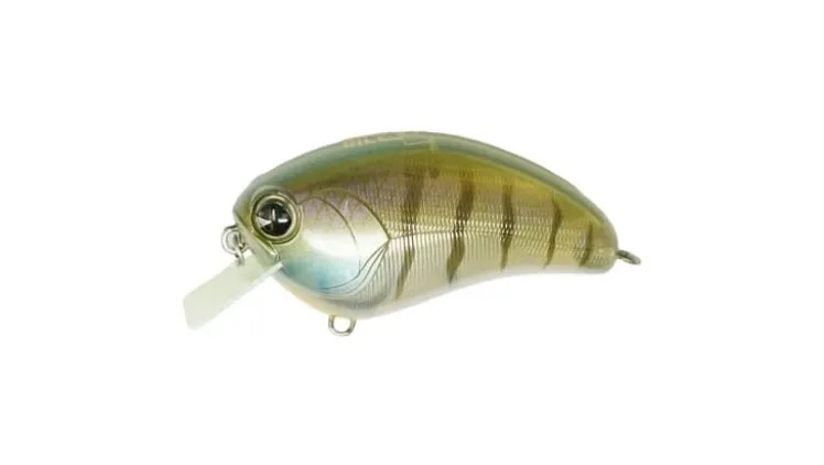 Ima Square Bill Crankbait