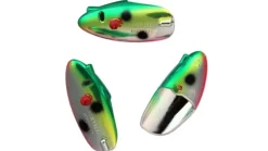Krippled Anchovy Head 3pk Unrigged