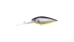 Megabass Deep Six Crankbait