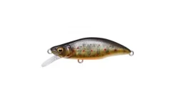 Megabass GH51 Humpback