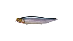 Megabass Megadog