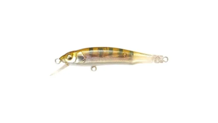 Megabass X-70 (BFS)