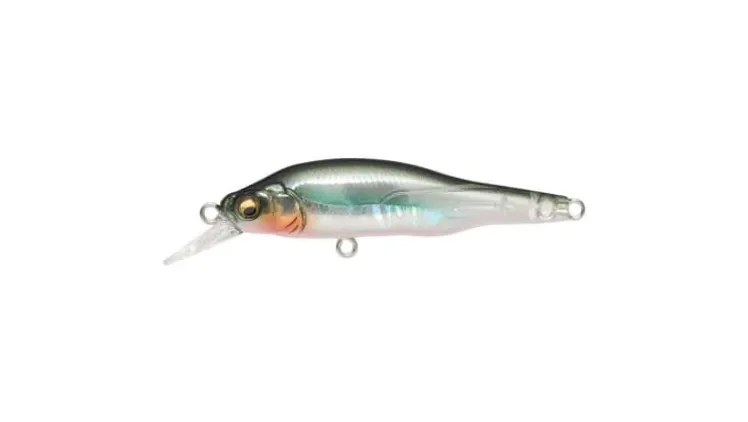 Megabass X-80 Jr. (BFS)