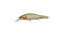 Megabass X-80 Jr. (BFS)