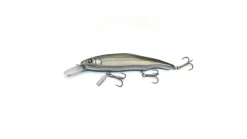 Nishine Erie 115MD