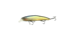 Nishine Erie 115SD