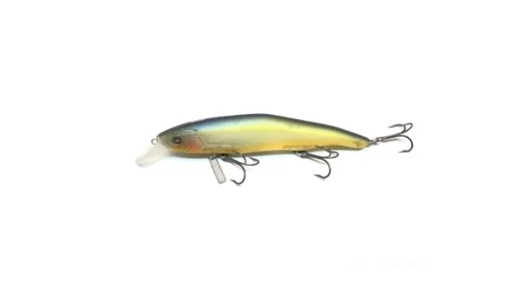 Nishine Erie 115SD