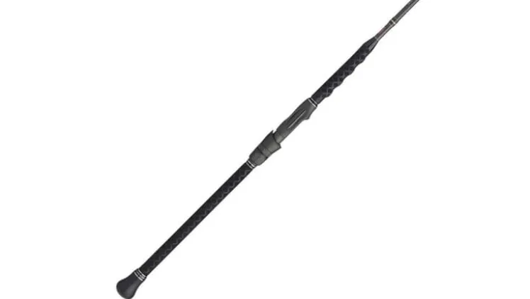 PENN Carnage III Surf Spinning Rods