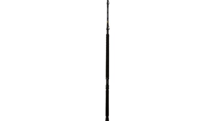 Phenix Axis Conventional Rods