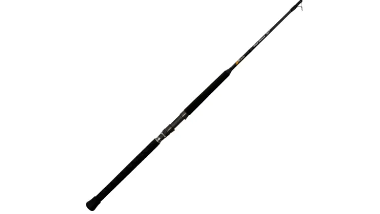 Phenix Black Diamond Spinning Rods