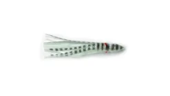 P-Line Sunrise Squid