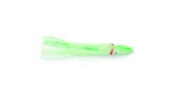 P-Line Sunrise Squid