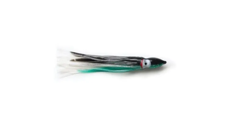 P-Line Sunrise Squid