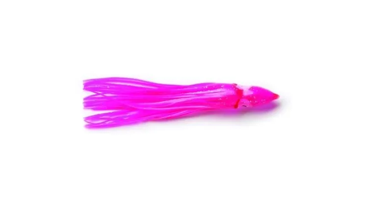P-Line Sunrise Squid