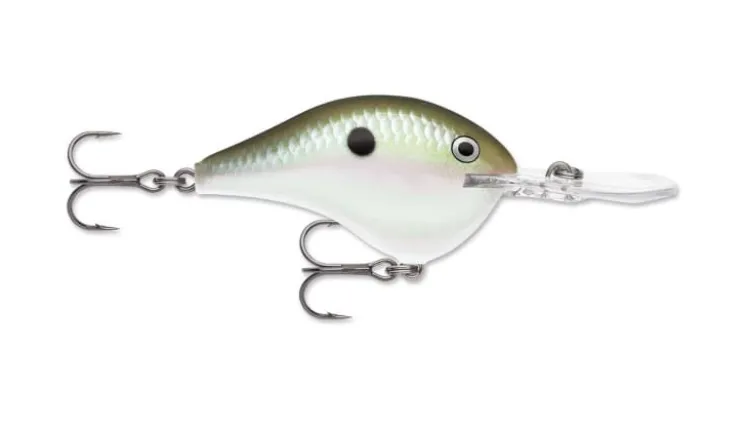 Rapala DT Series Crankbaits