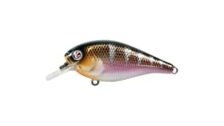 River2Sea Ish Monroe Biggie Poppa Crankbait