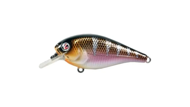 River2Sea Ish Monroe Biggie Poppa Crankbait