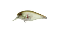 River2Sea Ish Monroe Biggie Poppa Crankbait