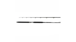 Seeker Super Seeker Jig & Bait Rod