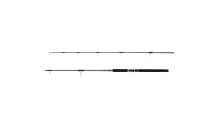 Shimano Saguaro B Casting Rods