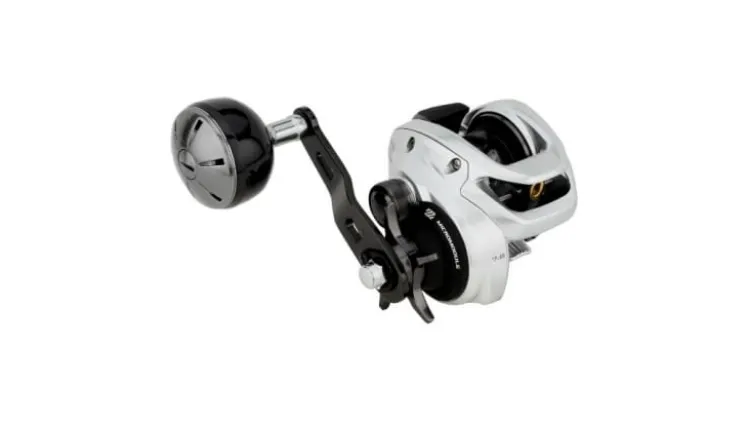 Shimano Tranx 300 B Low Profile Casting Reels