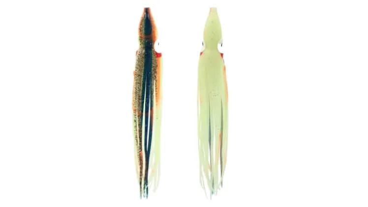 Silver Horde Octopus Squid