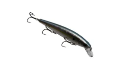 Strike King Kvd Elite 300 Jerkbait