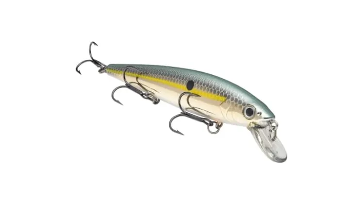 Strike King KVD Jerkbait