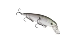 Strike King KVD Jerkbait