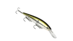 Strike King KVD Jerkbait
