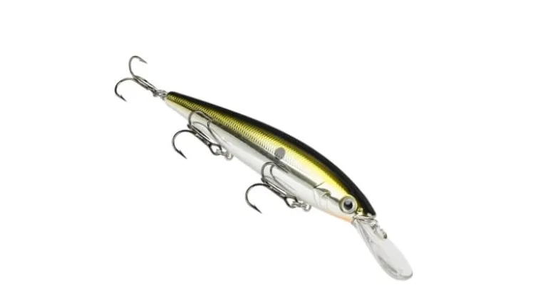 Strike King KVD Jerkbait