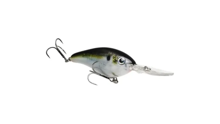 Strike King Pro Model 6XD Crankbait