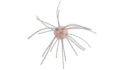 Strike King Tumbleweed Floating