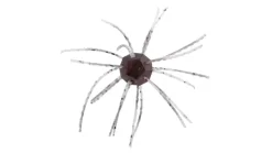 Strike King Tumbleweed Salted
