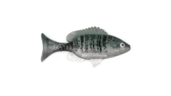 Sudden Impact Sunfish / Perch